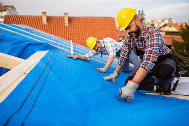 Best Metal Roofing Contractor  in Cambridge, NE